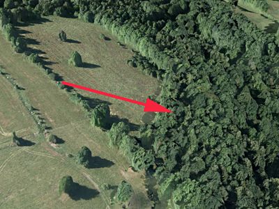Prodej lesa 7083 m²
