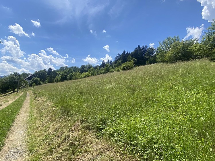 Prodej pozemku, 1 053 m² (6 z 10)