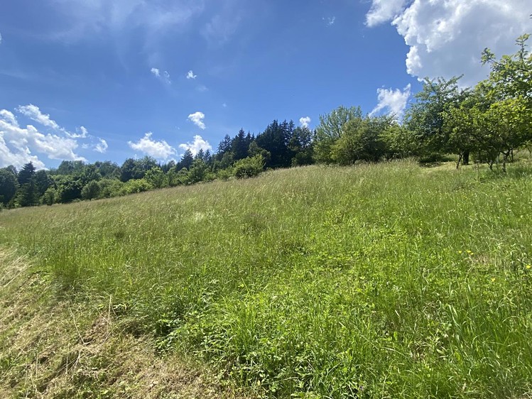 Prodej pozemku, 1 053 m² (9 z 10)