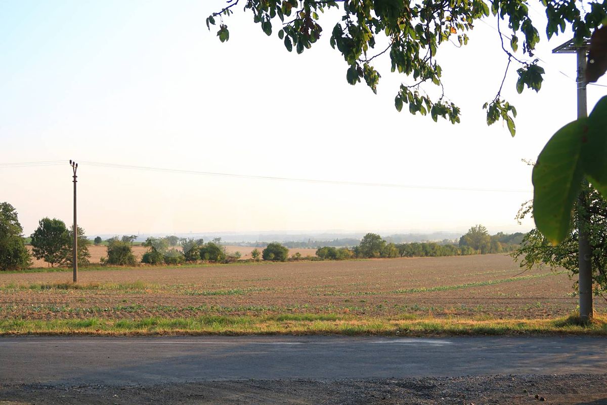 Prodej pole 3030 m² – fotografie 4