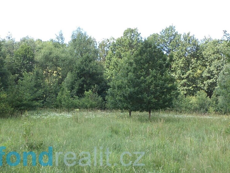 Grundstück zum Kauf, 12.879 m² (4 von 6)
