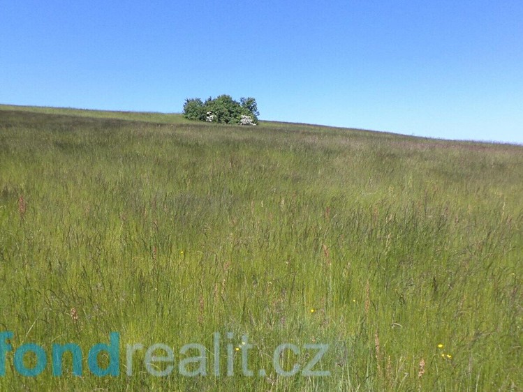 Grundstück zum Kauf, 50.580 m² (10 von 16)