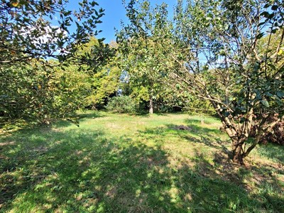 Prodej pozemku, 2 469 m² (3 z 16)