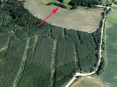 Prodej lesa 815 m²