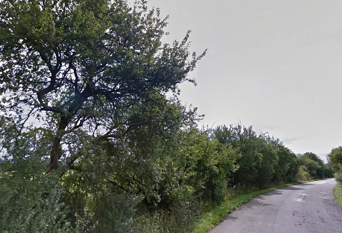 Prodej louky 1321 m²