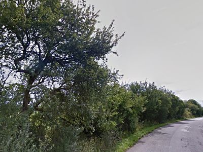 Prodej louky 1321 m²