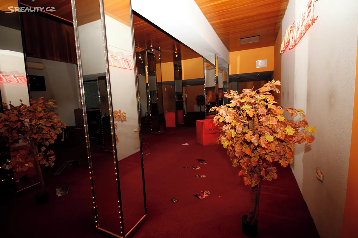Prodej obchodního prostoru 885 m² – pohled 6