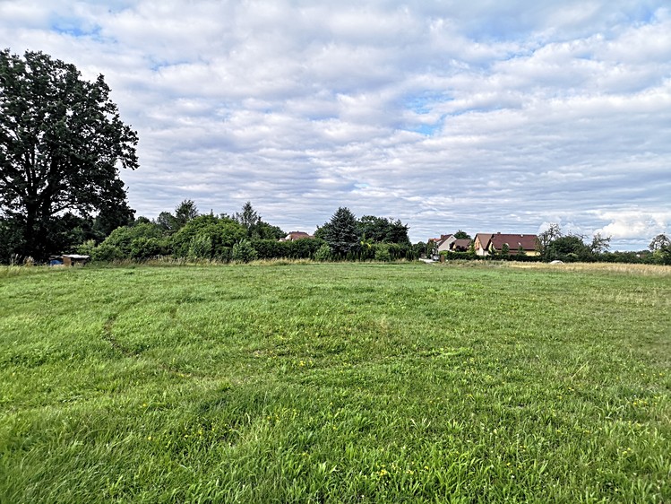 Ділянка на продаж, 10 000 м² (6 з 12)