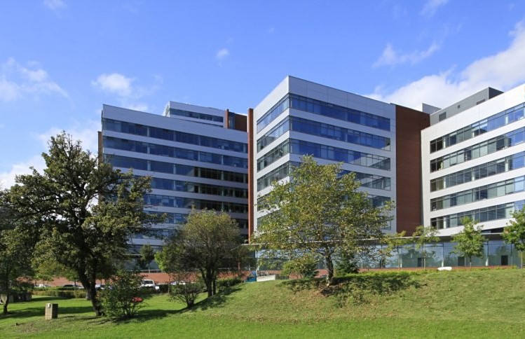 Pronájem komerčního prostoru, 260 m² (1 z 5)