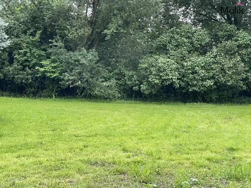 Prodej stavebního pozemku 1000 m², Osek – náhled fotky 2