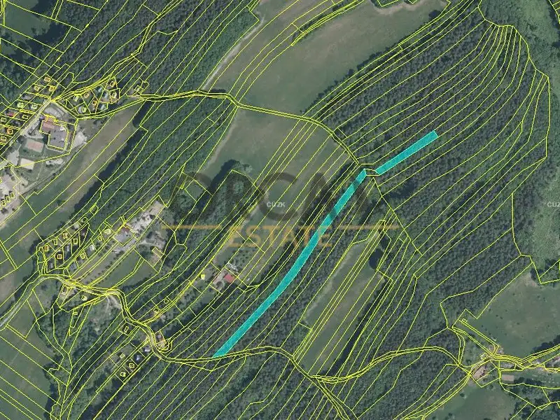 Prodej lesa 9893 m², Pozlovice – náhled fotky 2