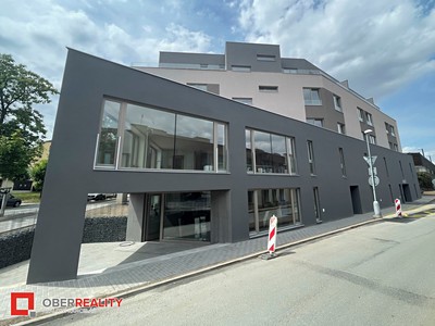 Pronájem bytu 1+kk 25 m²