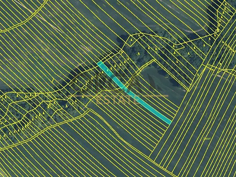 Prodej pole 6356 m², Mistřice – náhled fotky 3