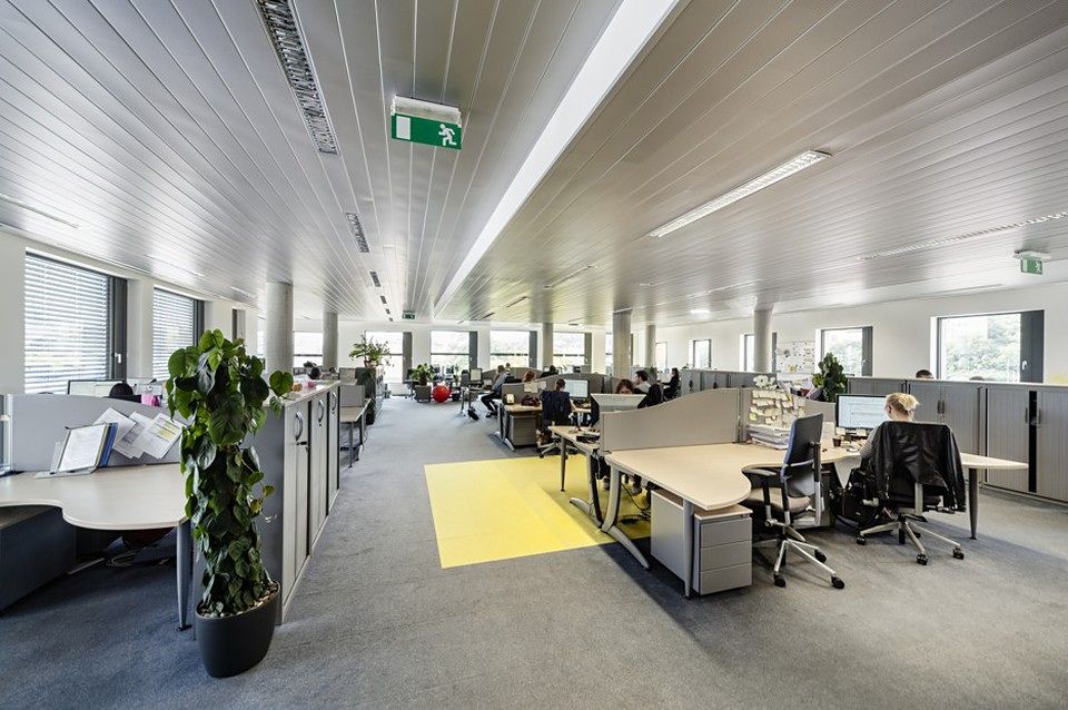 Pronájem kanceláře 539 m² – fotografie 3