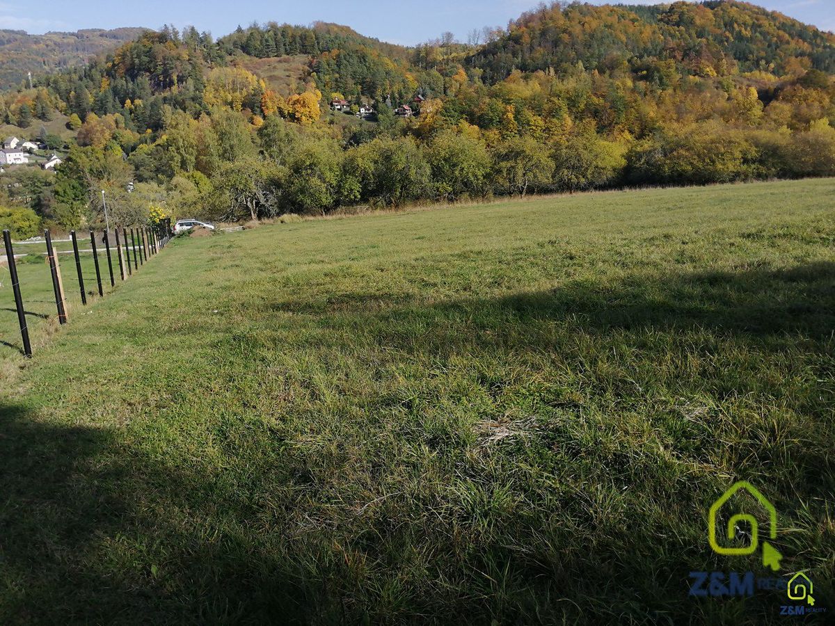 Prodej stavebního pozemku 7562 m² – fotografie 4