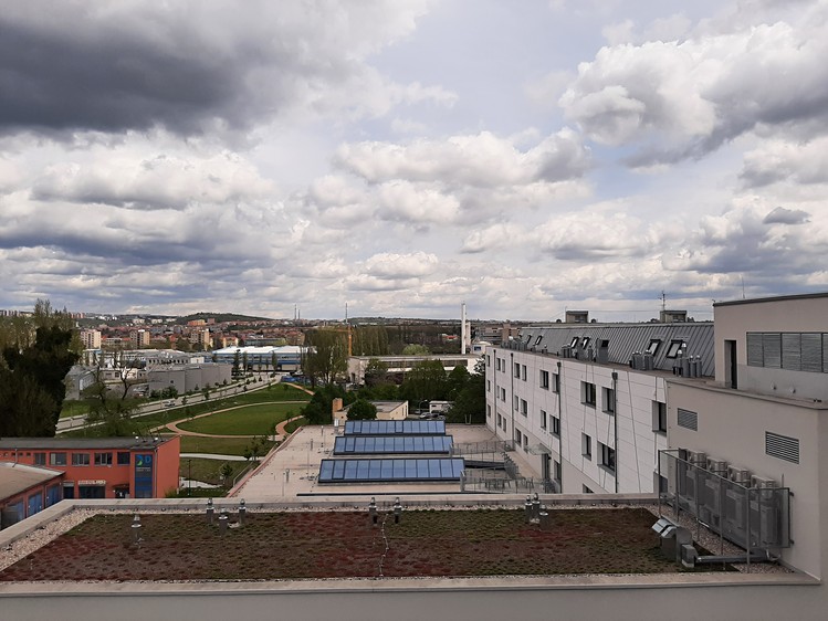 Ostatní