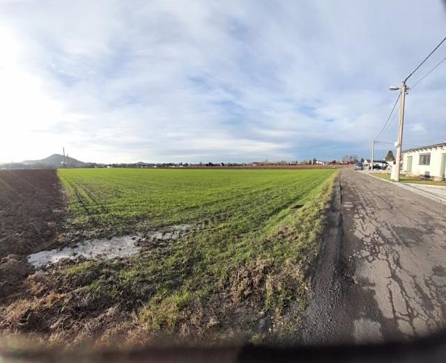Pronájem zahrady 700 m² – fotografie 3