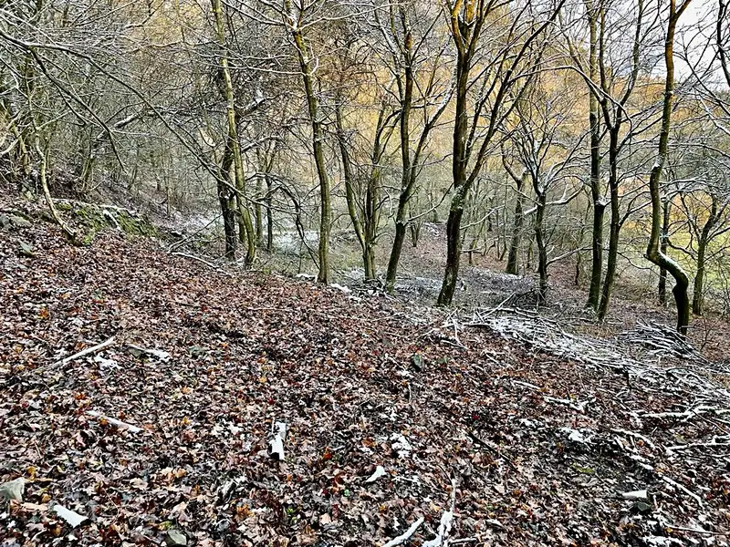 Prodej louky 1240 m², Malečov – náhled fotky 3