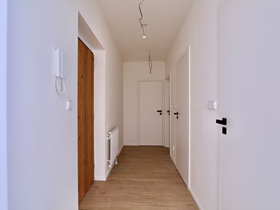 Prodej bytu 2+kk 61 m² (Jednopodlažní) — photo 4