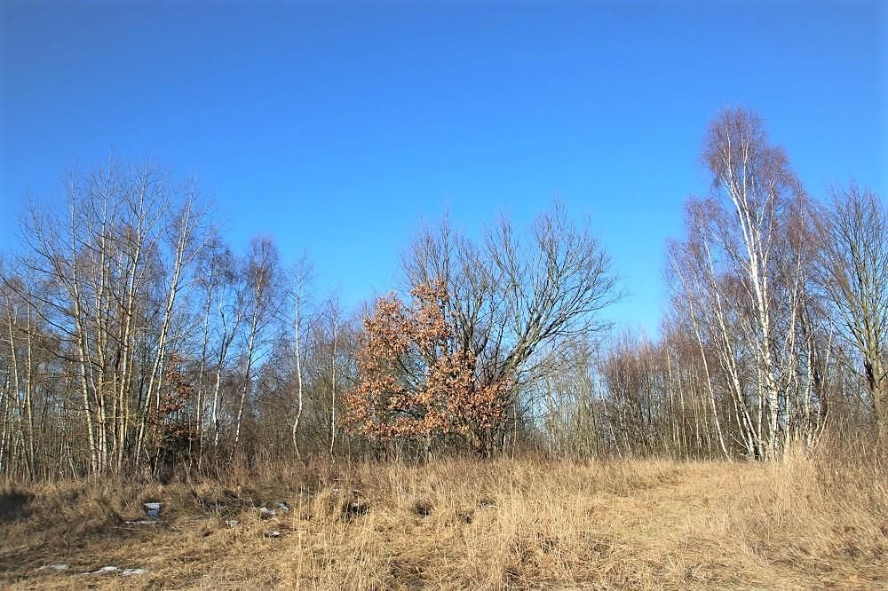 Prodej pozemku 5641 m²