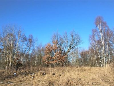 Prodej pozemku 5641 m²