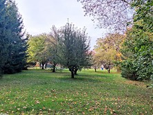 Prodej  stavebního pozemku 1 415 m²