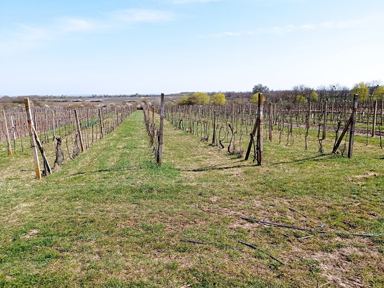 Grundstück zum Kauf, 2.818 m² (1 von 5)