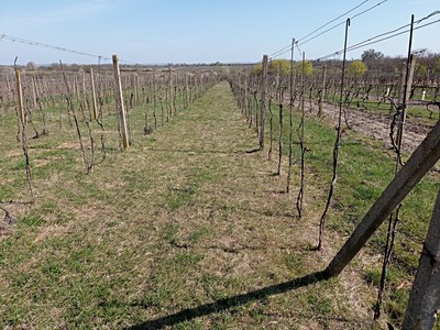 Grundstück zum Kauf, 2.818 m² (2 von 5)