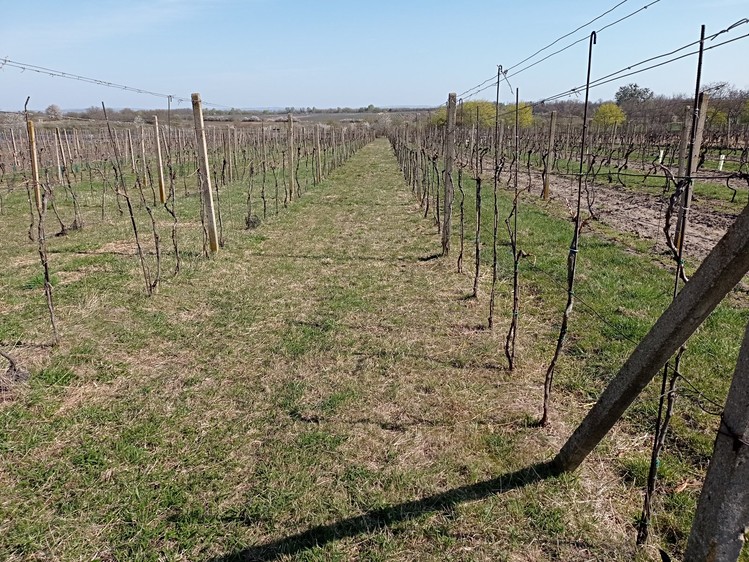 Grundstück zum Kauf, 2.818 m² (2 von 5)