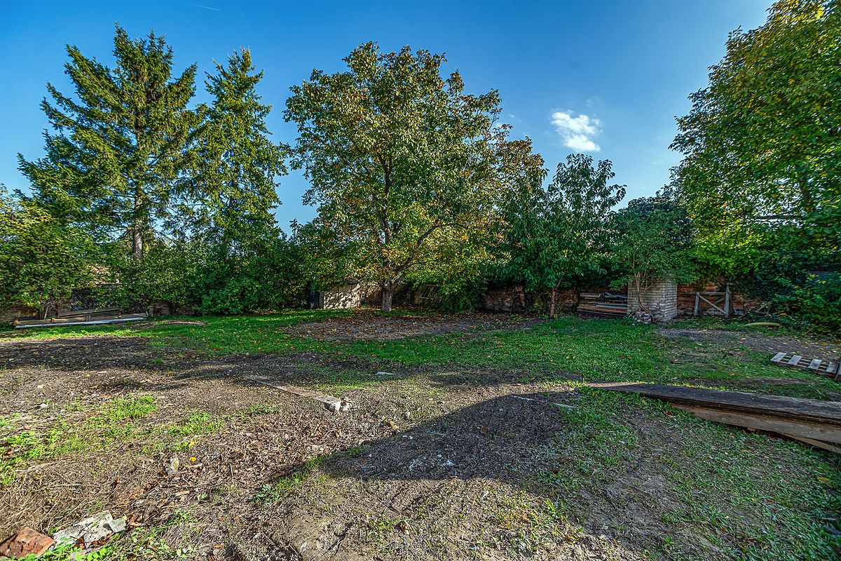 Prodej rodinného domu 324 m², pozemek 717 m² – fotografie 5