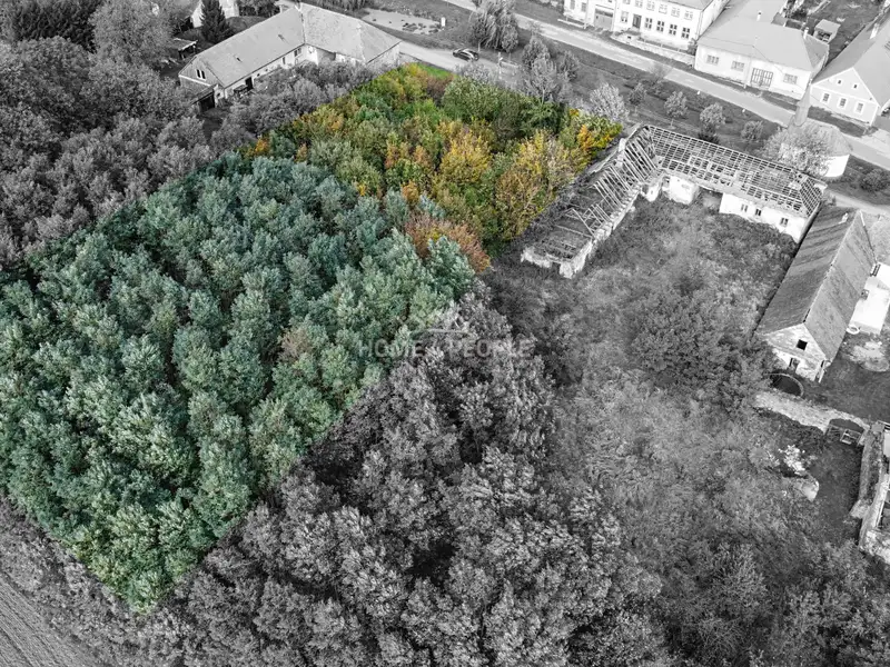 Prodej stavebního pozemku 3468 m², Dešná – náhled fotky 2