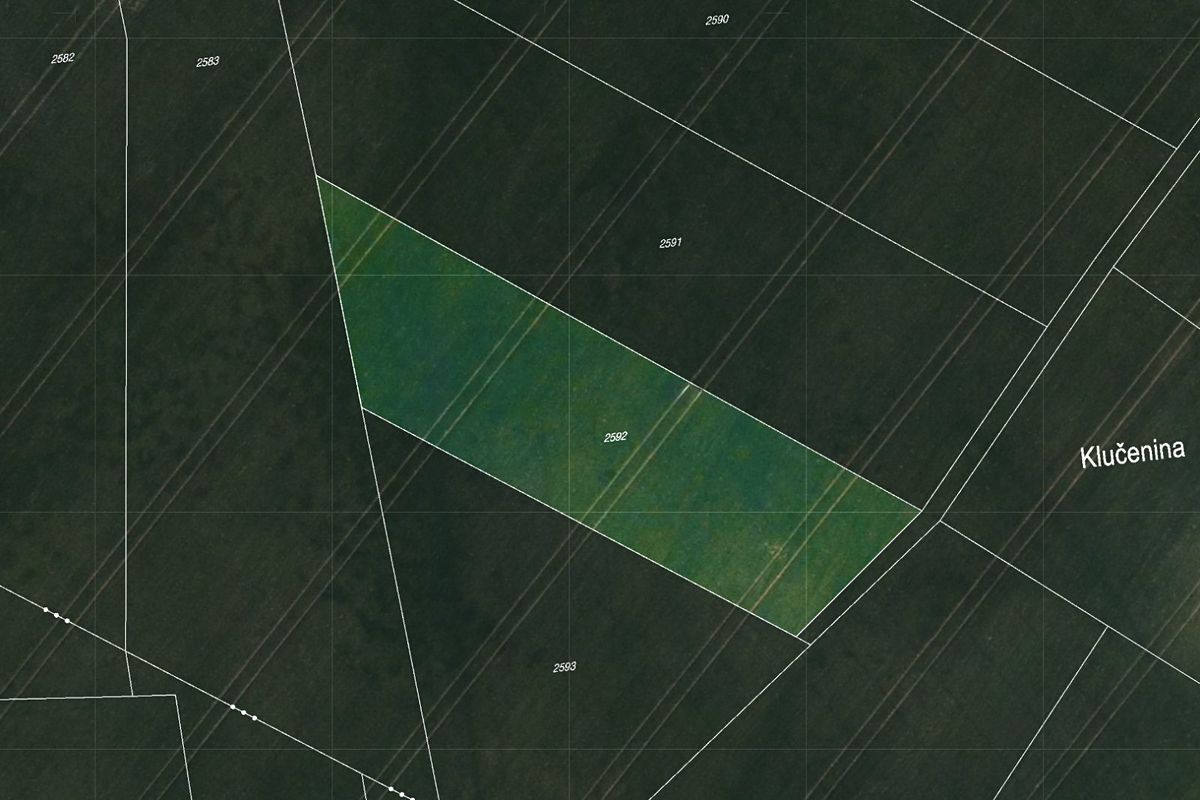 Prodej pole 4459 m² – fotografie 2