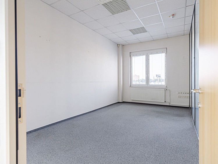 Gewerbefläche zur Miete, 1.000 m² (4 von 23)