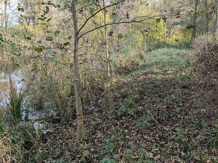 Grundstück zum Kauf, 11.416 m² (7 von 11)