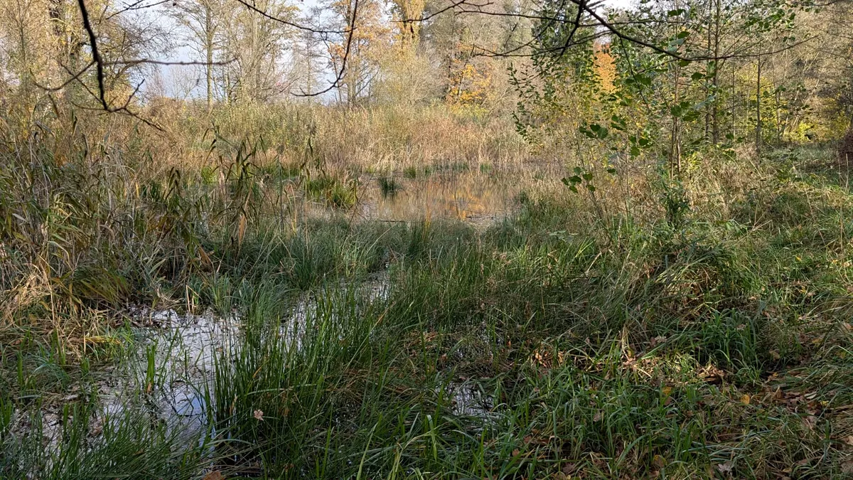 Fotka 6 z 11