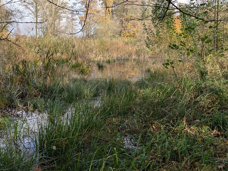 Grundstück zum Kauf, 11.416 m² (6 von 11)