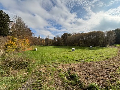 Grundstück zum Kauf, 11.416 m² (2 von 11)