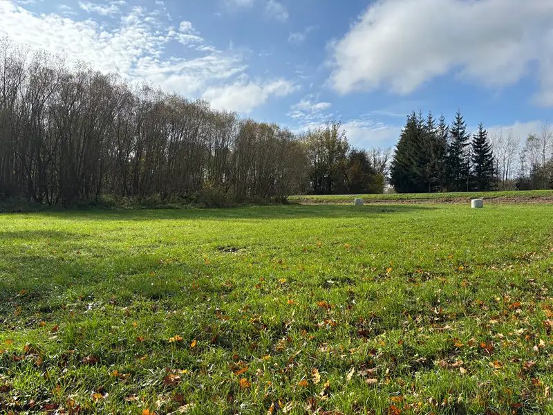 Prodej louky 11416 m², Janovice nad Úhlavou – náhled fotky 3