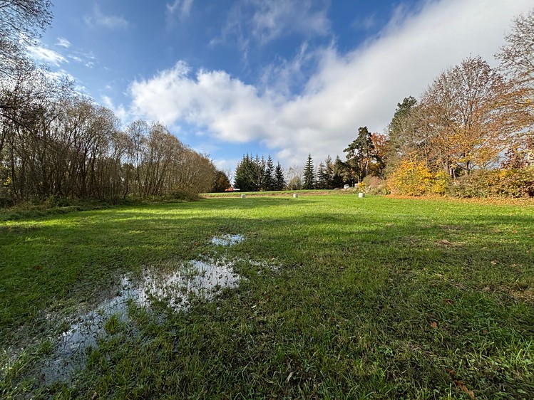 Grundstück zum Kauf, 11.416 m² (9 von 11)