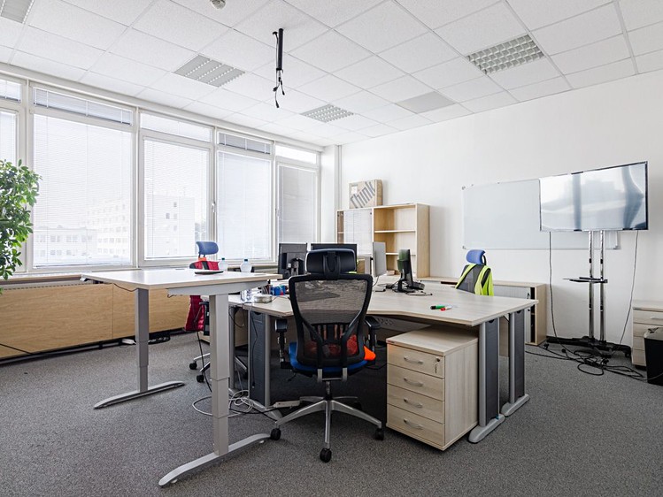 Gewerbefläche zur Miete, 1.000 m² (16 von 23)