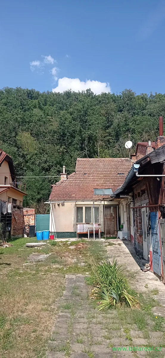 Fotka 10 z 13
