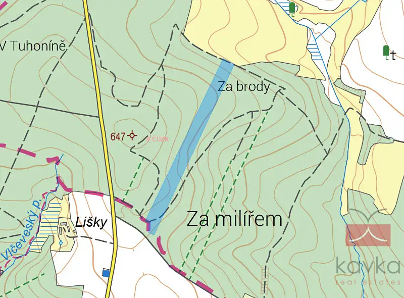 Prodej lesa 38985 m², Křeč – náhled fotky 1