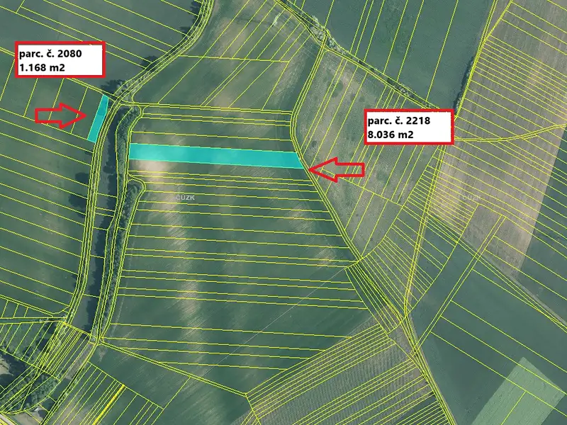 Prodej pole 11682 m², Petrovice – náhled fotky 2