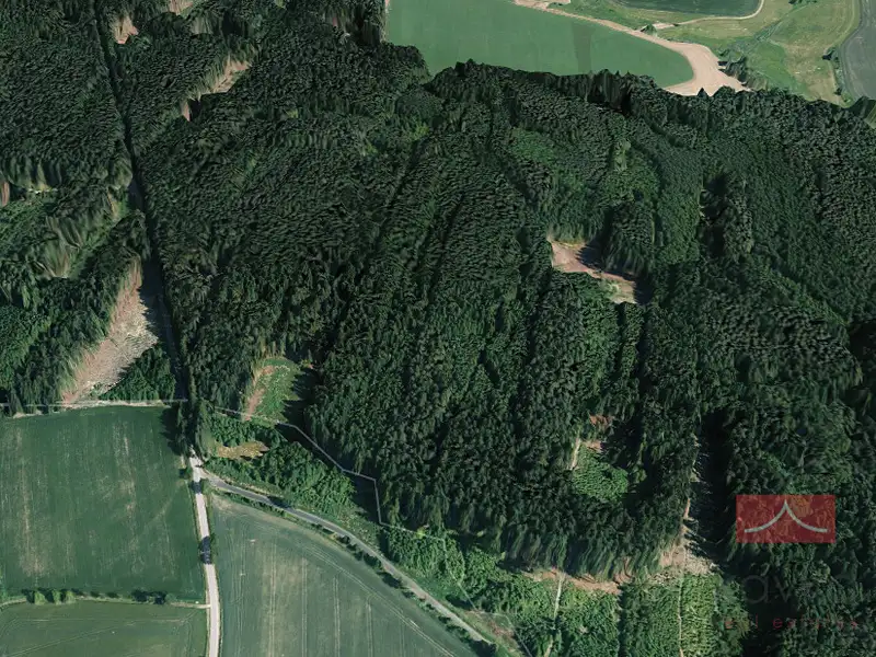 Prodej lesa 38985 m², Křeč – náhled fotky 2