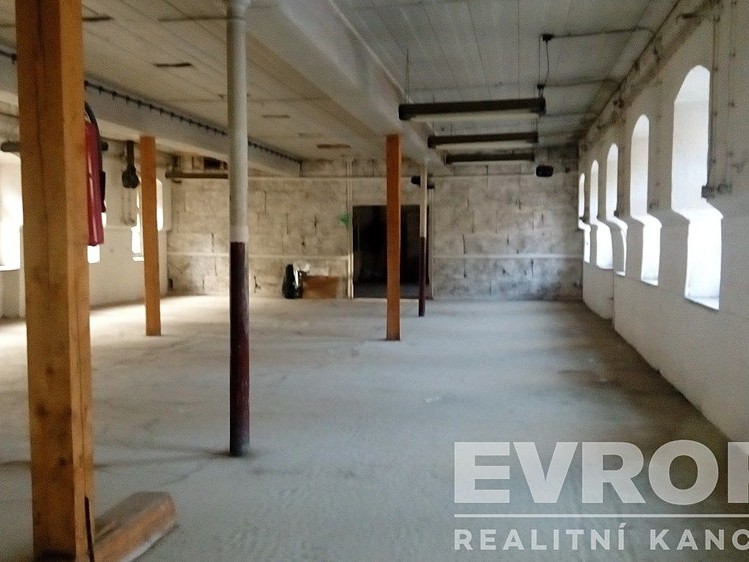 Pronájem komerčního prostoru, 700 m² (1 z 16)