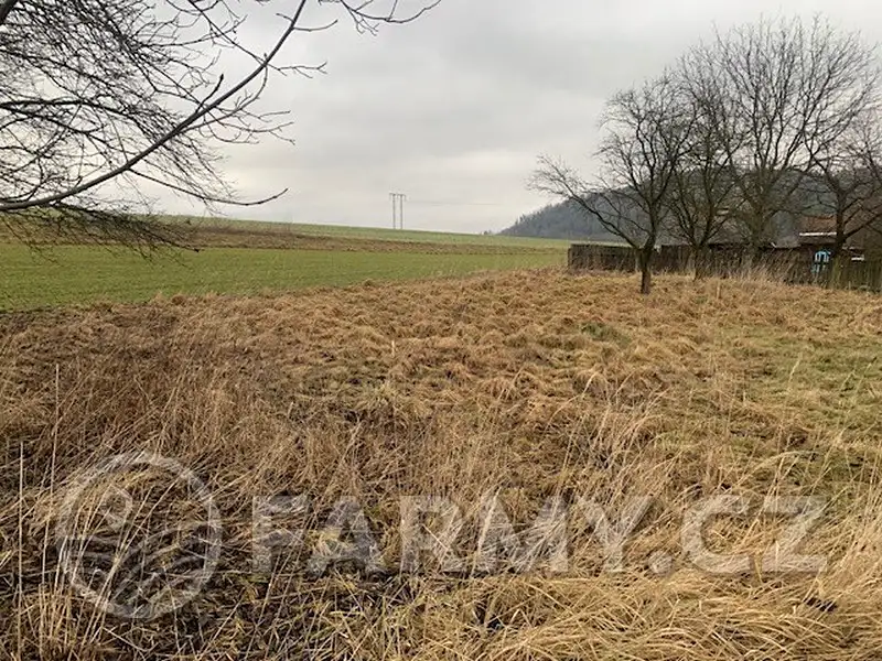 Prodej pole 79683 m², Moravská Třebová – náhled fotky 3