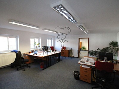 Pronájem komerčního prostoru, 29 m² (2 z 6)
