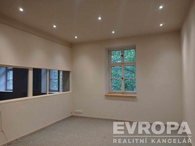 Pronájem komerčního prostoru, 700 m² (4 z 16)