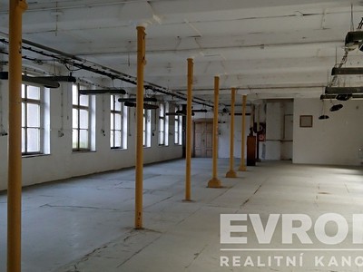 Pronájem komerčního prostoru, 700 m² (3 z 16)