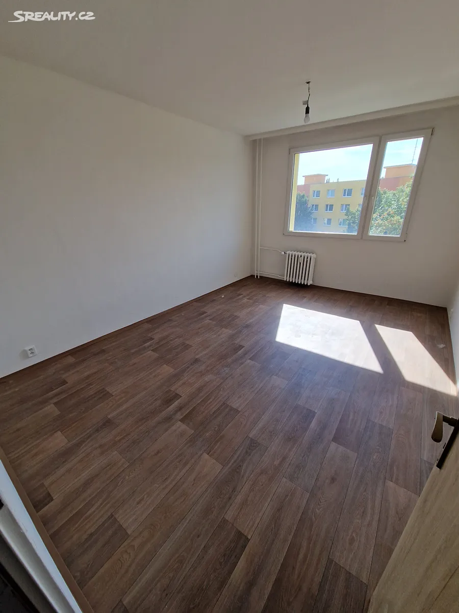 Pronájem bytu 2+1 66 m² – další